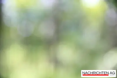 Rückgang der Patentanmeldungen: Was steckt hinter dem Abwärtstrend?