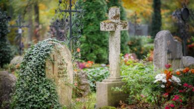 Einschränkungen im Beisetzungsbetrieb vom 12.08.2024 bis zum 18.11.2024 auf dem Friedhof Zehlendorf in der Onkel-Tom-Straße 30