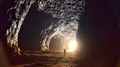 „Bergparade“ - Hunderte Bergleute locken Besucher in den Harz - Wirtschaft