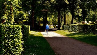 Bistum Dresden-Meißen – Aktuelles - Zisterzienserschwester Maria Consilia (Ilse) Bildt (91) verstorben