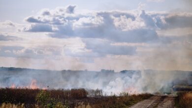 Weißes Pulver löst Gefahrguteinsatz aus