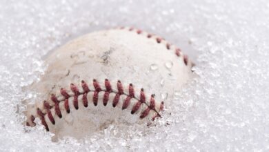 Bears brauchen Platz für Nachwuchs - Baseball