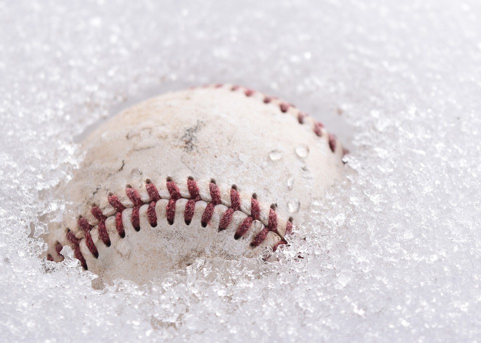 Bears brauchen Platz für Nachwuchs - Baseball