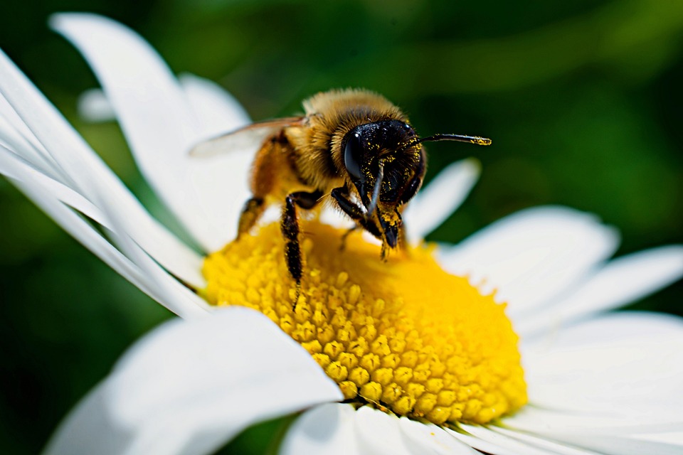 Biowetter in Baden-Württemberg am 18. September 2024