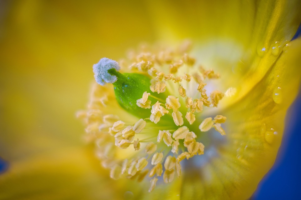 Biowetter in Baden-Württemberg am 19. September 2024