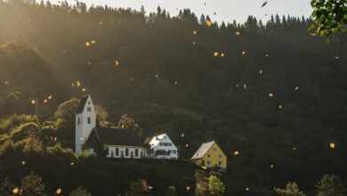 Kirchengemeinde Blomberg-Neuschoo lädt zu Dank-Gottesdienst ein