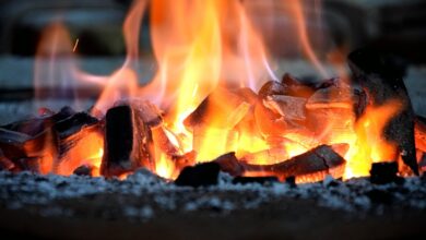 POL-DEL: Landkreis Oldenburg: Brand einer Mülltonne in Bookholzberg +++ Zeugenaufruf