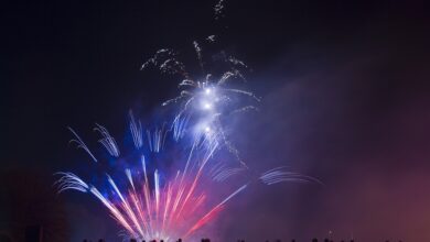 Bundespolizeidirektion München: Bundespolizei Waidhaus: Sieben Kilogramm Pyrotechnik, Haftbefehle und 9.000 Euro Justizschulden