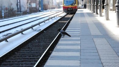 Bundespolizeidirektion München: Oberleitungsabriss führt zu Stammstreckensperrung im S-Bahnverkehr