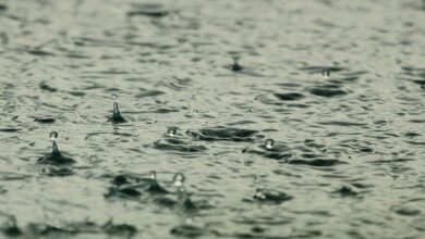 Feuerwehren kämpfen gegen Wassermassen und Schnee