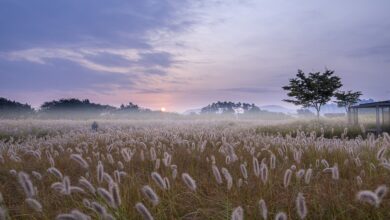 „Oha, das wird ein krasses Aufwachen in neuer Wetterlage“: Moderator nach ARD-Prognose entgeistert