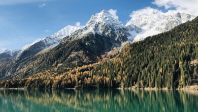 Dieser See in Rheinland-Pfalz ist besonders spektakulär