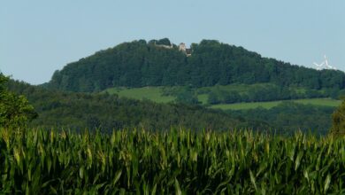 Mehrere Einbrüche in Einfamilienhäuser im Landkreis Jerichower Land