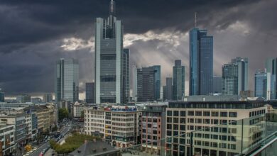 3 Faktoren für den Eintracht-„Euphorie-Express“