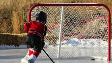 Eishockey, DEL: Ausverkauft! Volles Haus beim Eröffnungsspiel