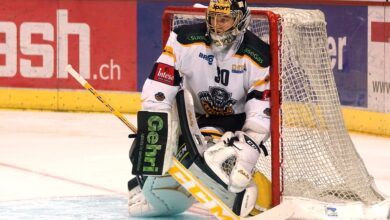 Eisbären Berlin erneut Trainer-Favorit auf den Titel