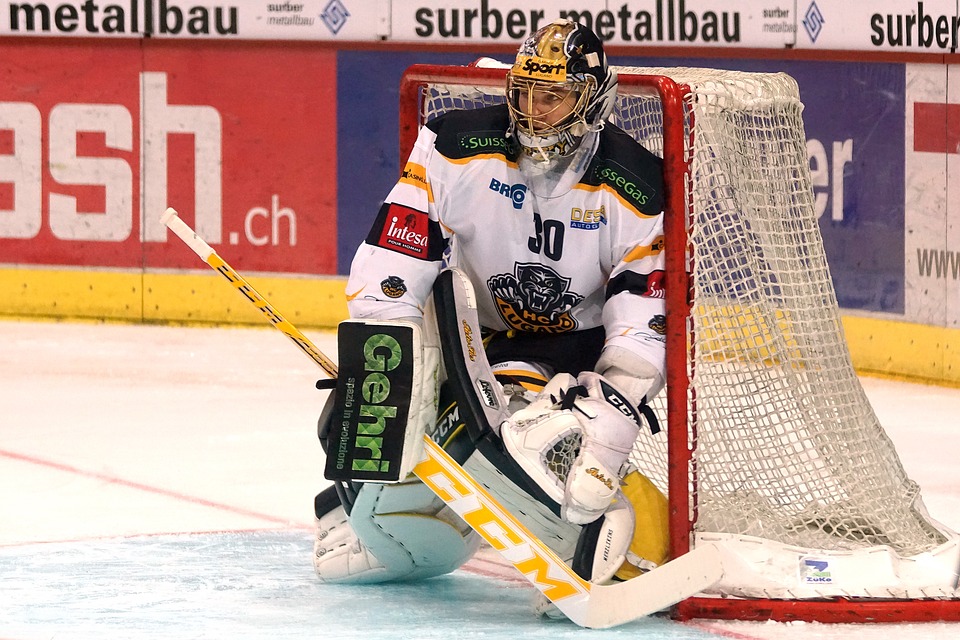 Eisbären Berlin erneut Trainer-Favorit auf den Titel