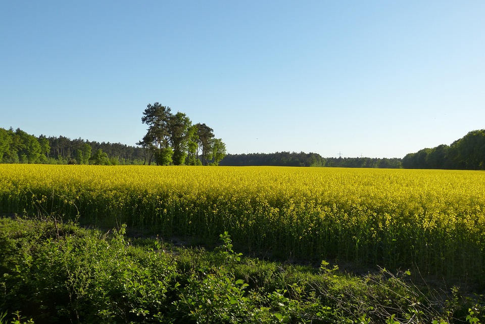 Ein unbekannter Weg aus Niedersachsen unter den Top 5