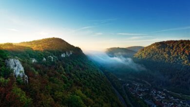 Die Region Stuttgart feiert den Tag des Schwäbischen Waldes