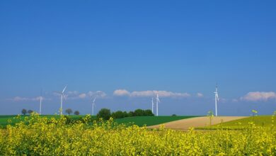 Das sind 10 der beliebtesten Ausflugsziele in der Südpfalz