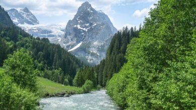 Maßbach Rannungen Gemeindebund Thundorf Schweinfurter Oberland Lesetour Kirche Biergarten Theater