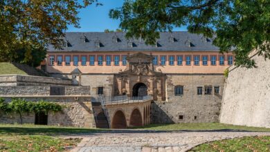 Erfurt: Höcke-Hitler-Plakat aufgetaucht – "Geisteskranker Vergleich"