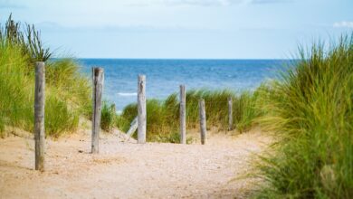 Ostsee: Nackt-Trend schnellt hoch! Hier fallen im Urlaub alle Hüllen