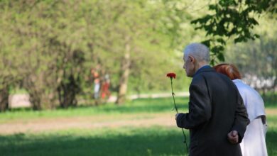 FPÖ gewinnt Wahl mit 29,2 Prozent