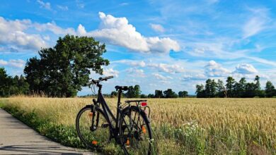 Pedelecfahrer durch geöffnete Autotür verletzt