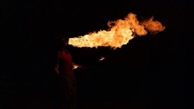 LPI-SHL: Feueralarm in einer Wohnung