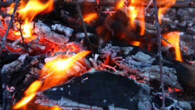 Zwei Tote bei Feuer in Eberswalde