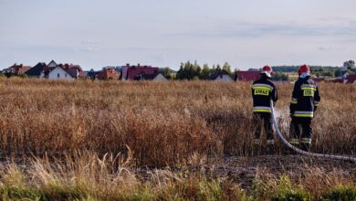 Ith-News - Nachrichten aus dem Landkreis Holzminden und Umgebung – 100 Jahre Feuerwehr Hehlen: Abschlussfeier mit Partyband und Festzelt