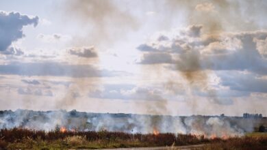 Sie sorgen dafür, dass die Feuerwehren ihre Arbeit machen können