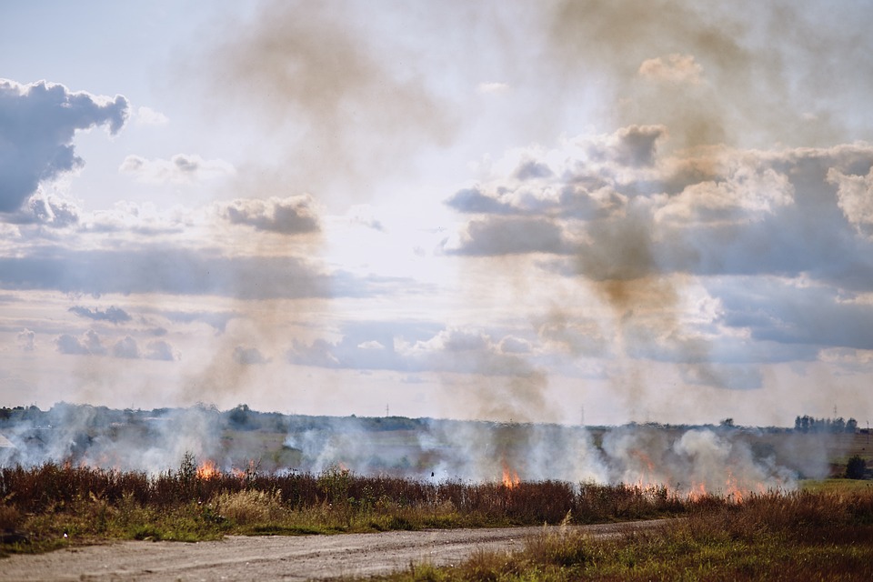 Sie sorgen dafür, dass die Feuerwehren ihre Arbeit machen können