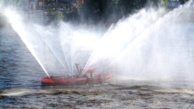 Waldbrand in Oranienbaum - Feuerwehr verstärkt Löscheinsatz