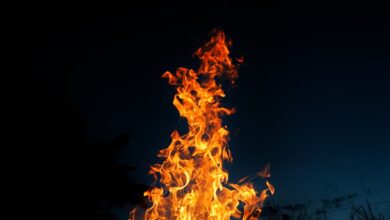 Bleckeder Feuerwehr feiert und zeigt, was sie kann