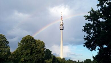 1. FC Köln: Florian Wirtz kritisiert FC-Fans – Reaktion folgt prompt