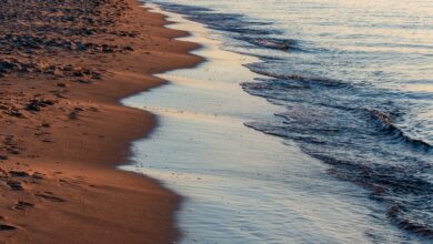 World Cleanup Day: Strandsäuberungsaktion in St. Peter-Ording | NDR.de - Nachrichten