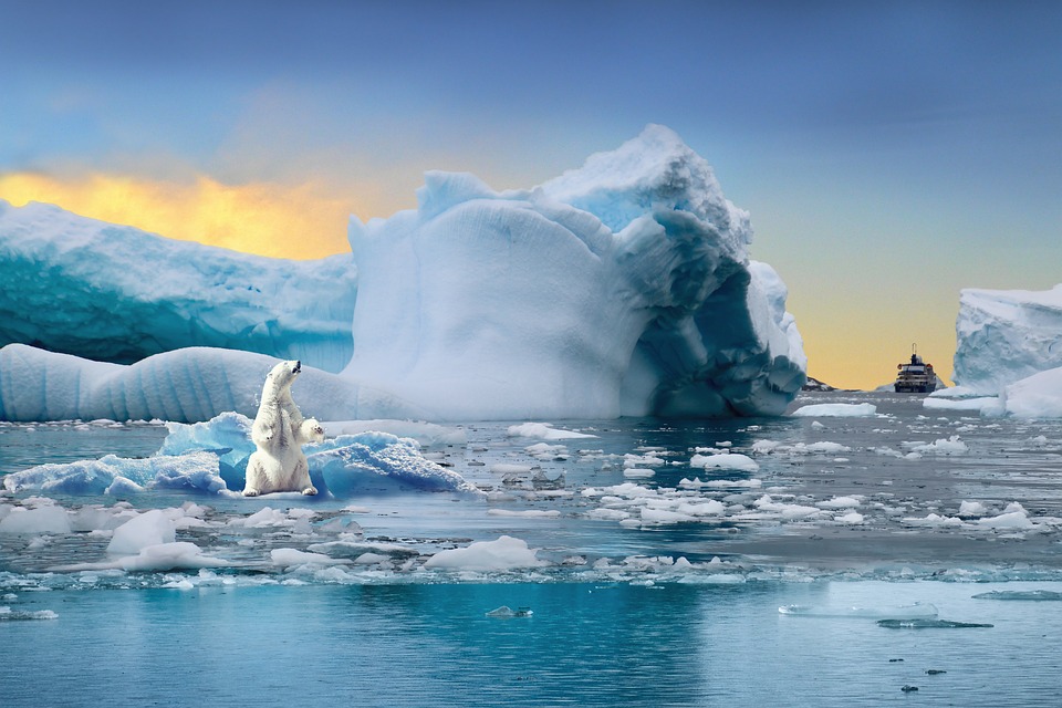 Klimaschützer protestieren in 110 Orten