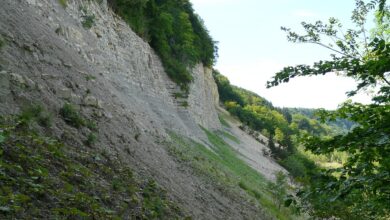 Geröllabsturz im Bodenseekreis - Umleitung eingerichtet