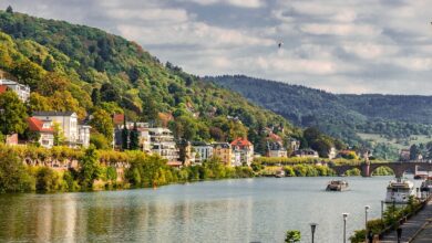 Heidelberg-Studie: Zu wenig Wohnraum und zu hohe Mieten