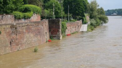 Hochwasser: Wann kommt die Elbe-Flutwelle zu uns? | News