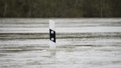 Hochwasser in Dresden: 4-Meter-Marke geknackt, Alarmstufe erreicht!