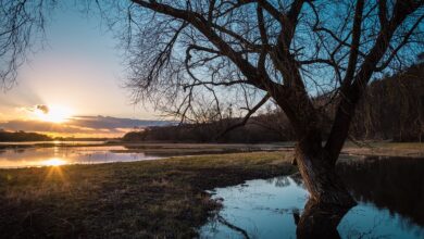 Aufräumarbeiten an vielen Orten - Elbe und Oder steigen an