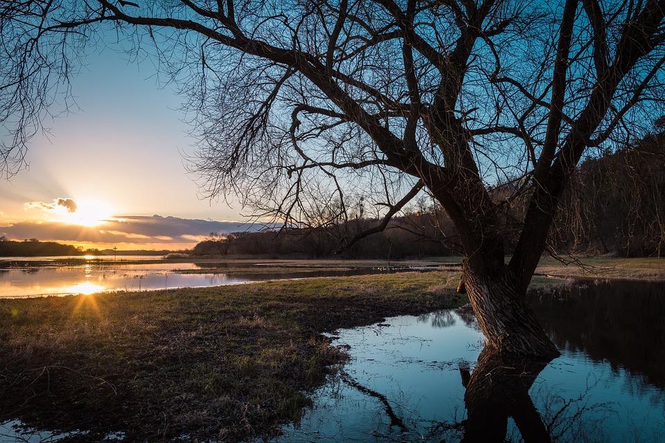 Aufräumarbeiten an vielen Orten - Elbe und Oder steigen an