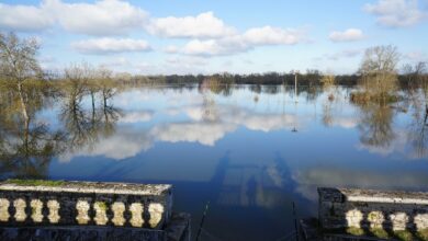 Hochwasser: Oder-Flut in Brandenburg befürchtet – aktuelle Lage