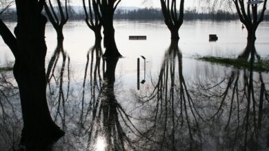 Aufräumarbeiten an vielen Orten - Elbe und Oder steigen an