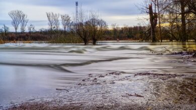 Elbe steigt weiter - Aufräumarbeiten in Flutgebieten