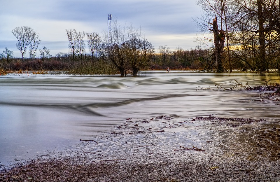 Elbe steigt weiter - Aufräumarbeiten in Flutgebieten