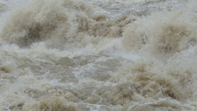 Unwetter: Staudamm in Polen läuft über - Siedlungen evakuiert - Panorama